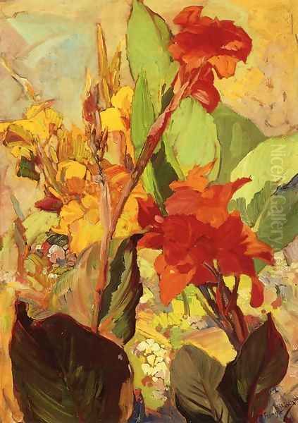 Canna Lillies - view 1