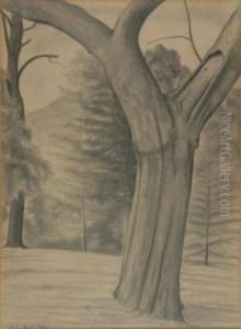 Old Apple Tree by George Copeland Ault