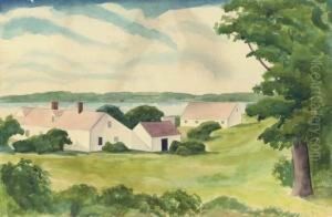 New Jersey Landscape