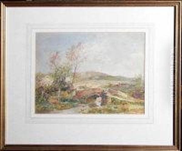 A Humpback Bridge And A Meadow Beyond - view 1