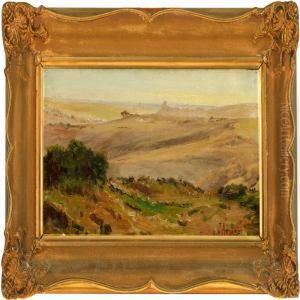 Extensive Landscape Extensive Landscape