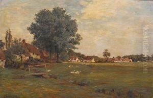 Village Green With Ducks