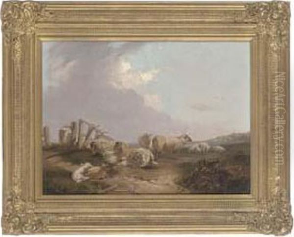 Sheep Grazing And Resting - view 1