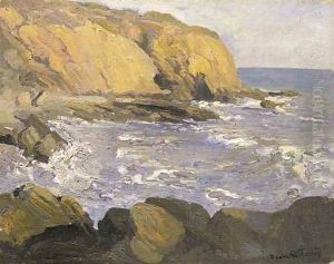 The Cove by Franz Bischoff