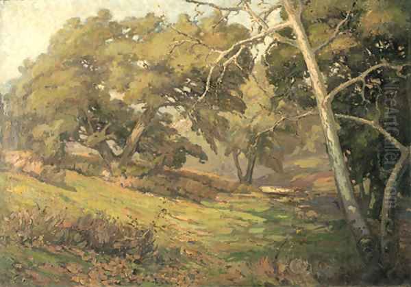 The Oaks - view 1
