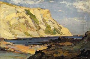 Coastal Cliffs by Franz Bischoff