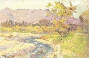 Spring Landscape
