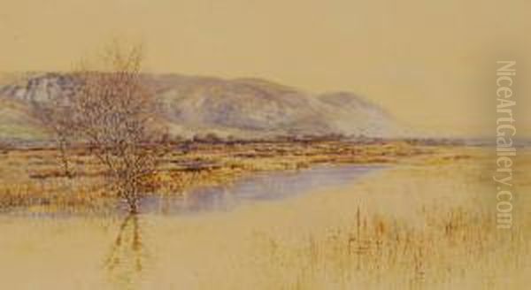 Marshland Landscape - view 1