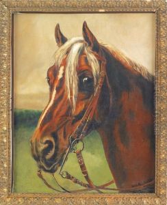 A Horse by Ben Austrian