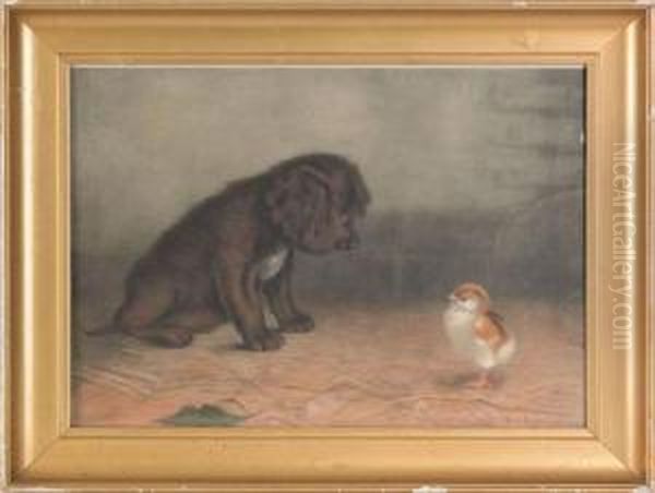 Puppy And Chick - view 1