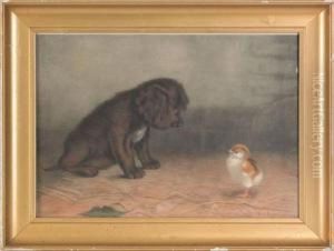 Puppy And Chick