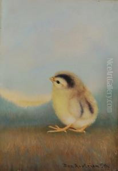 Chick - view 1