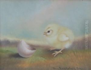 Single Chick And Hatched Egg by Ben Austrian
