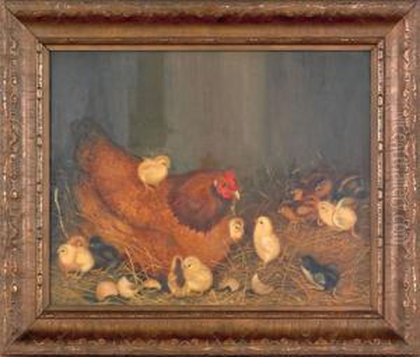 A Hen And Thirteen Chicks - view 1
