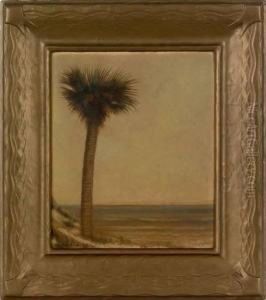 Florida Landscape