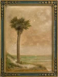 Florida Landscape by Ben Austrian