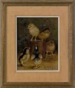 Chicks On A Tin Can by Ben Austrian