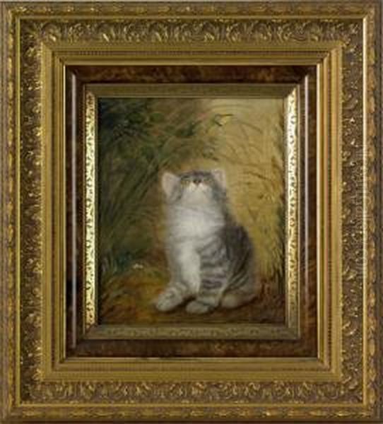 Kitten And A Butterfly - view 1