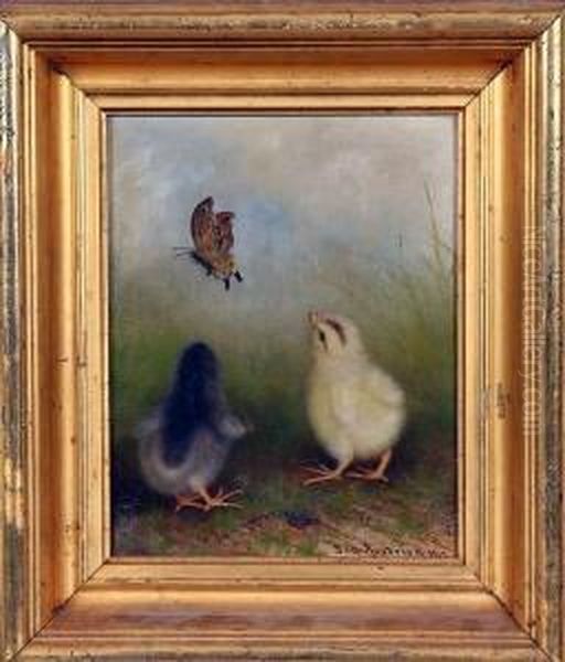 Chicks - view 1