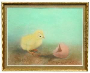 Paper Of Chick And Egg