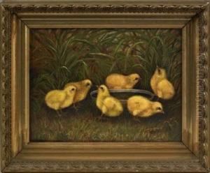 Chicks by Ben Austrian