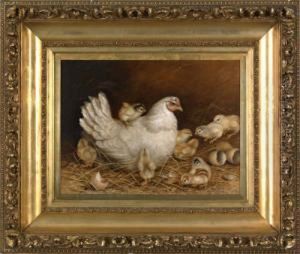 Hen And 9 Chicks