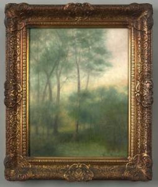 Landscape - view 1