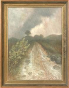 Landscape by Ben Austrian