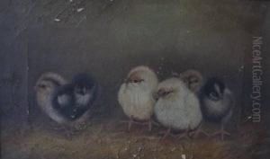 Chicks by Ben Austrian
