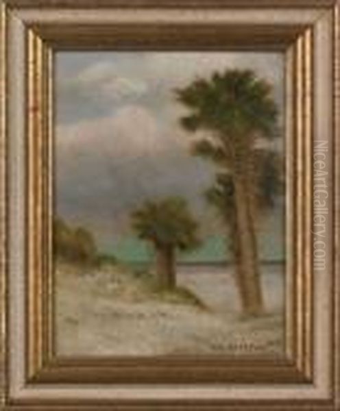 Florida Landscape - view 1
