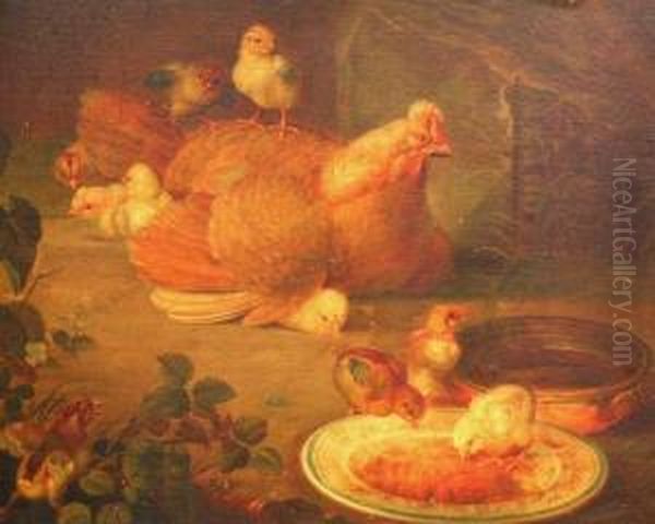 Chickens Feeding - view 1