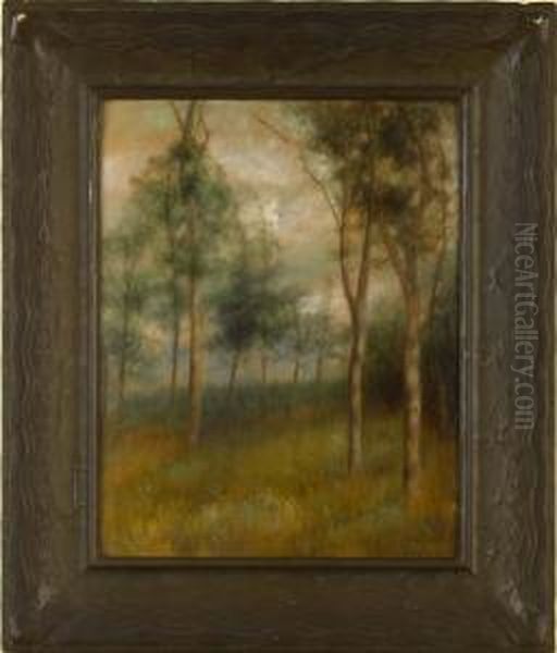Landscape - view 1
