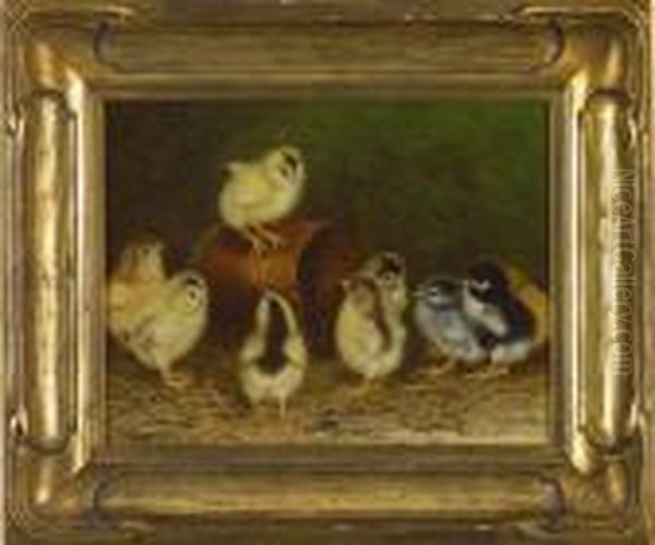 Barnyard Scene With 9 Chicks - view 1