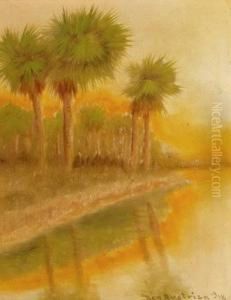 Along The Tamaka