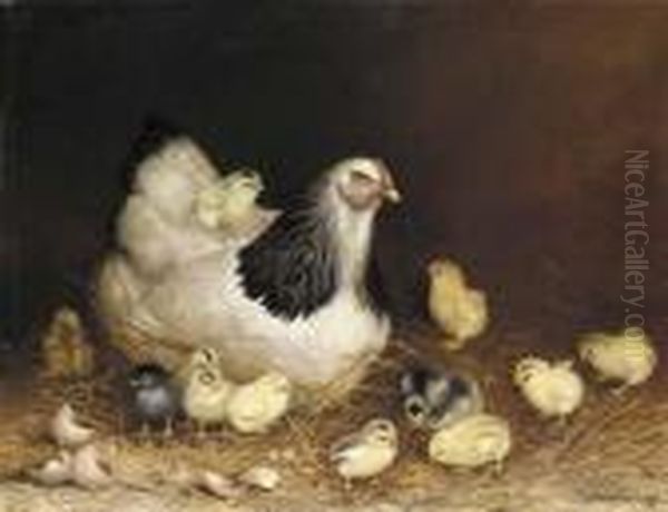 Hen And Chicks In The Hay - view 1
