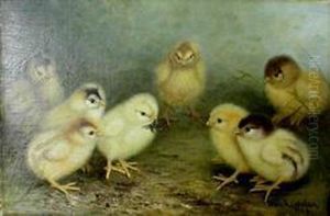 Chicks by Ben Austrian
