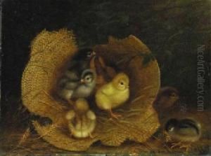 Chicks In A Straw Hat by Ben Austrian