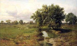 Summer Pastures