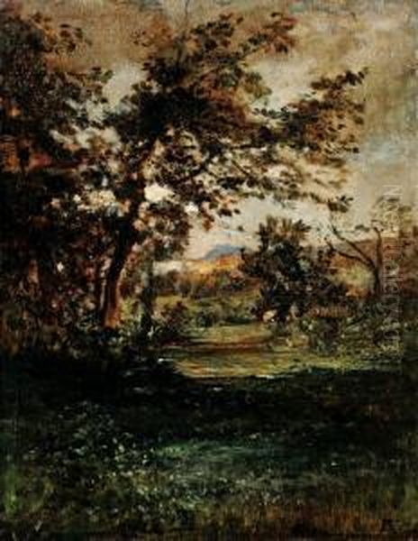 Luce Mattinale - Paesaggio - view 1