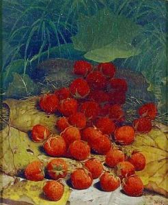 Strawberries Strewn on a Forest Floor