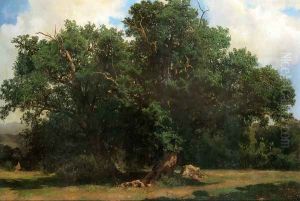 Oak Trees by Johannes Bosboom