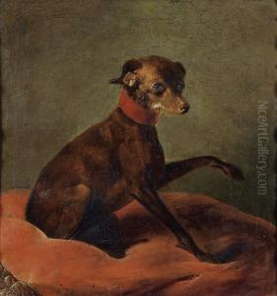 Portrait D'un Chien Sur Un Coussin Rouge. - view 1
