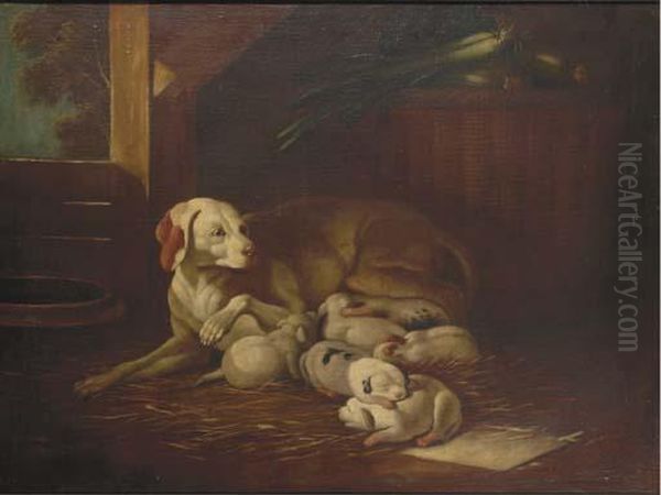 Chienne Et Ses Chiots - view 1