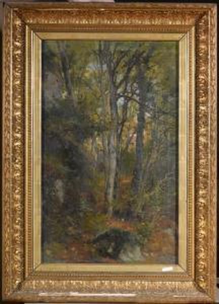 Waldlandschaft. - view 1