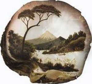 Mt Egmont Mt Egmont