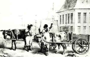 Negro Boys with bullock carts, from 'Voyage a Surinam' 1834