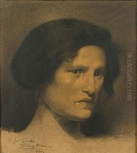 Portret Van Vrouw Met Opgestoken Haar.