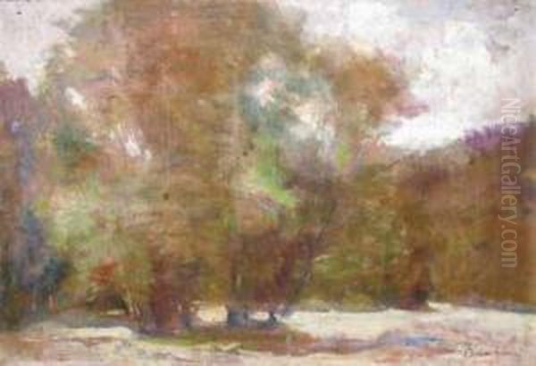 In Lunca - view 1