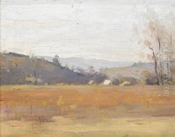 Landscape - view 1