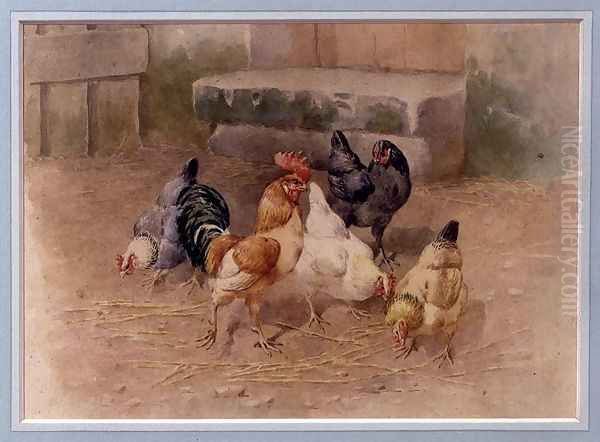 Chickens - view 1
